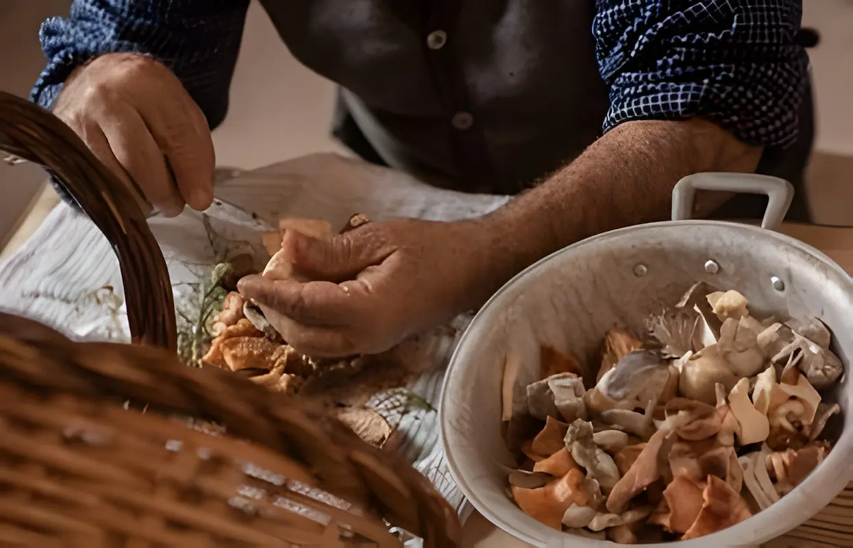 Cleaning Chicken of the Woods mushrooms on a kitchen counter.