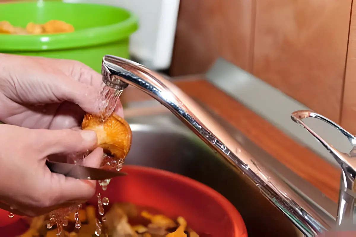 Person cleaning wild mushrooms in a modern kitchen